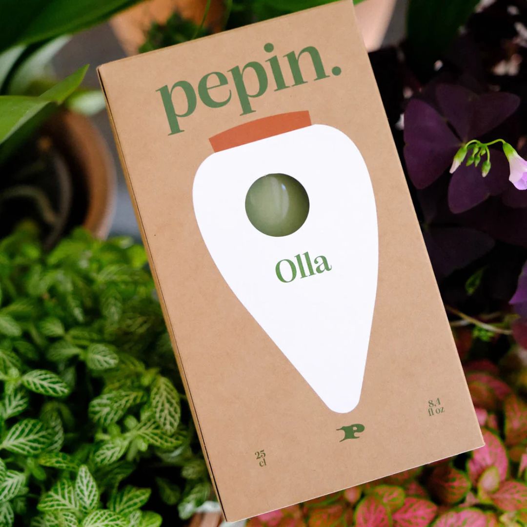 Olla Selbstbewässerungssystem