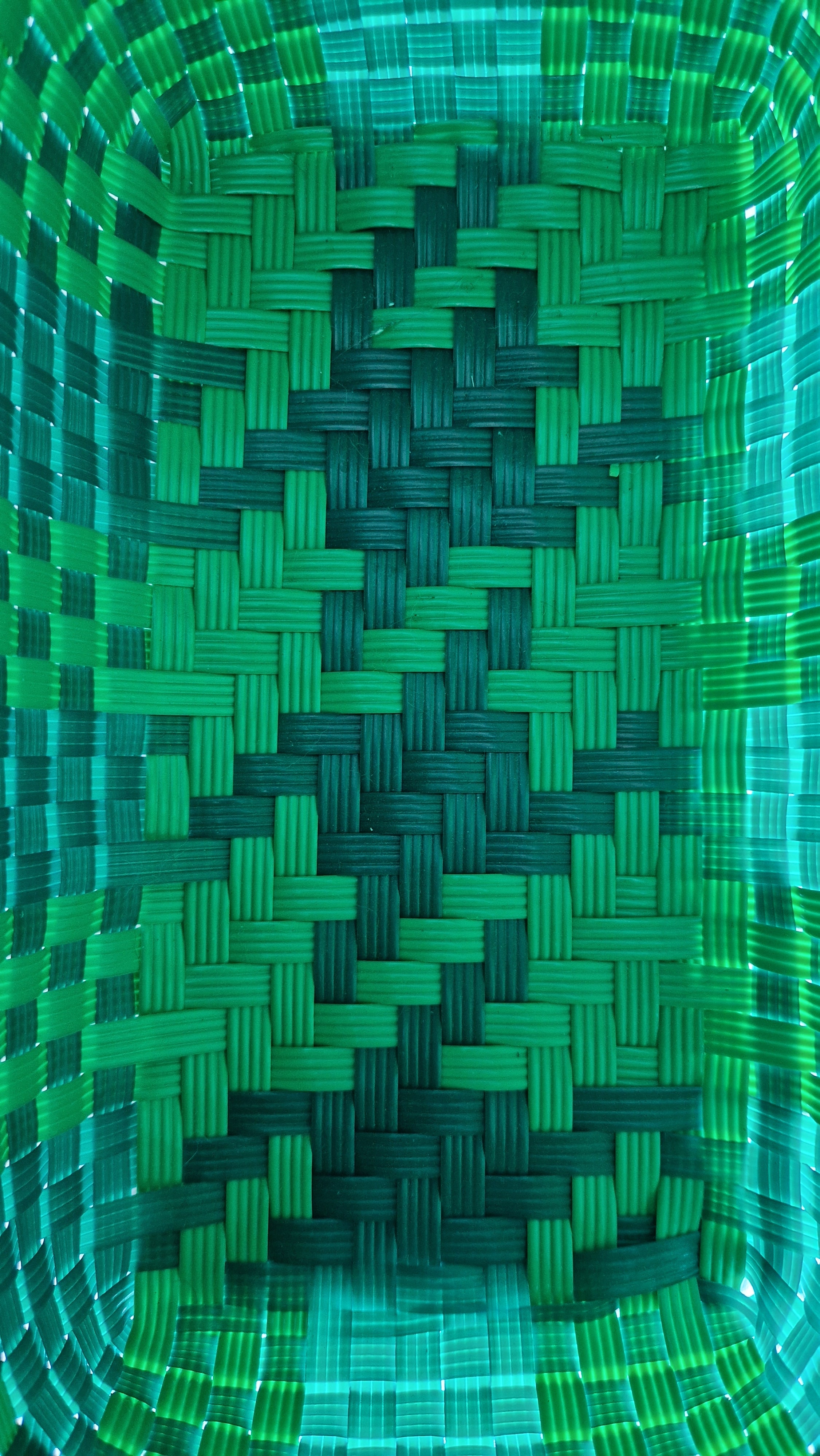 Alma Mediana Plaid Green