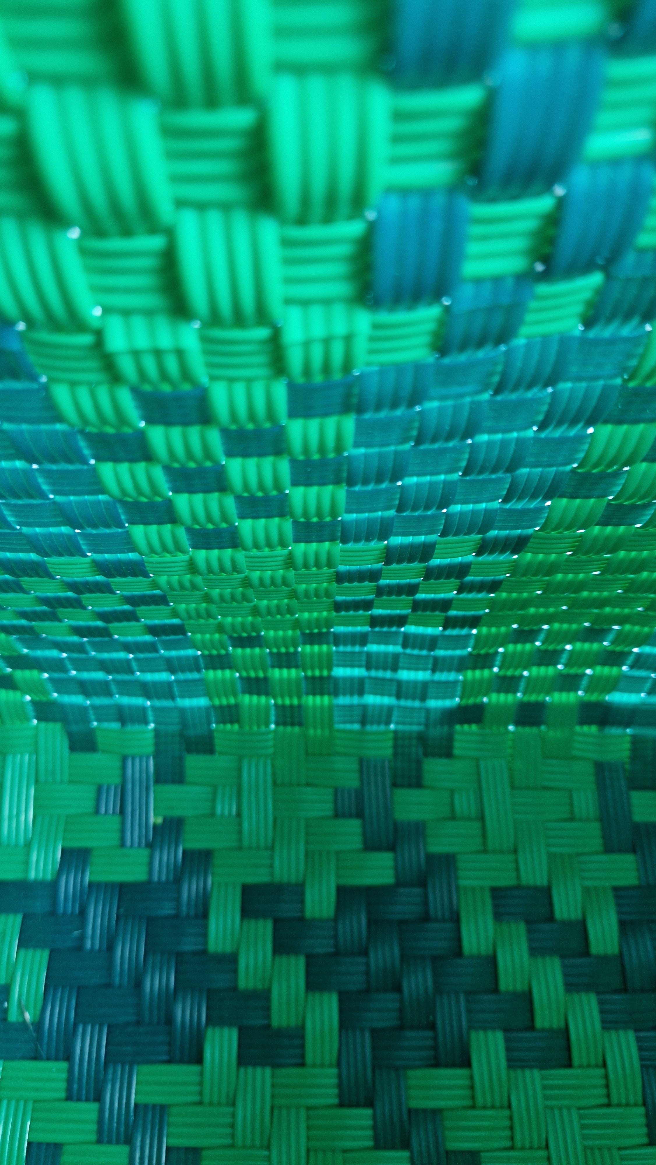 Alma Mediana Plaid Green