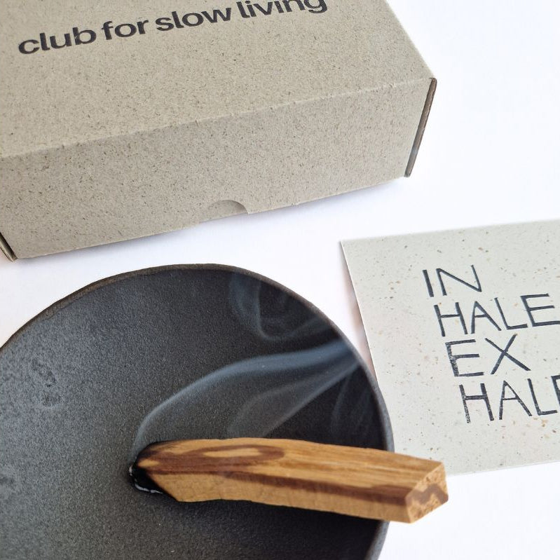 Palo Santo Räucherholz 10 Stück