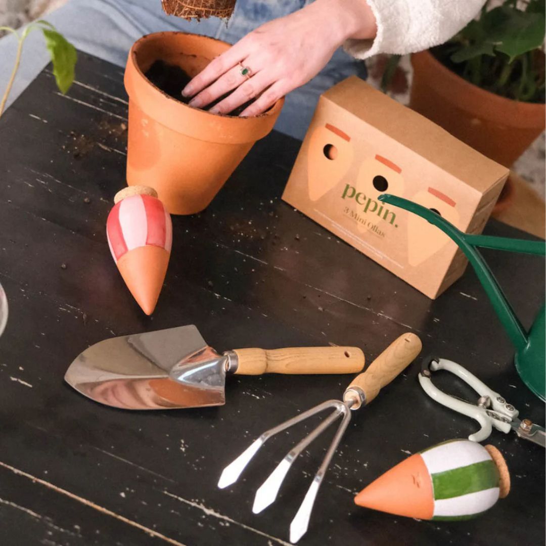 Mini Olla Trio Selbstbewässerungssystem