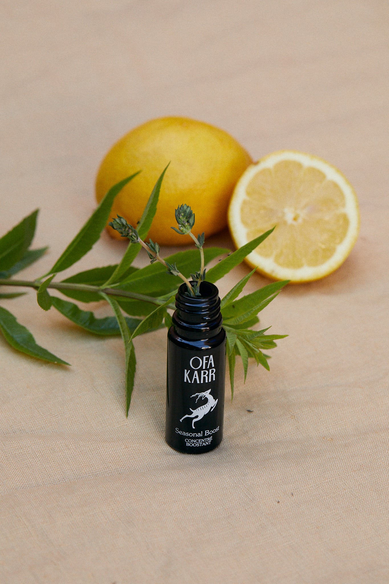 Seasonal Boost Roll-On