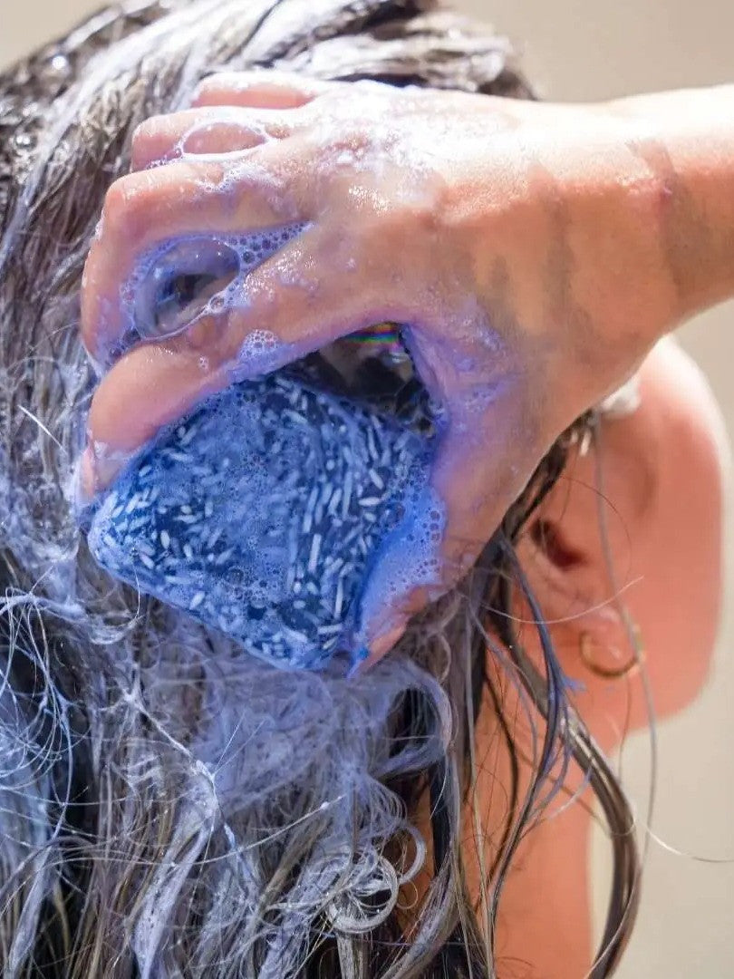Festes Shampoo & Conditioner Set Colour Correction Blue - Dunkelblondes & Braunes Haar